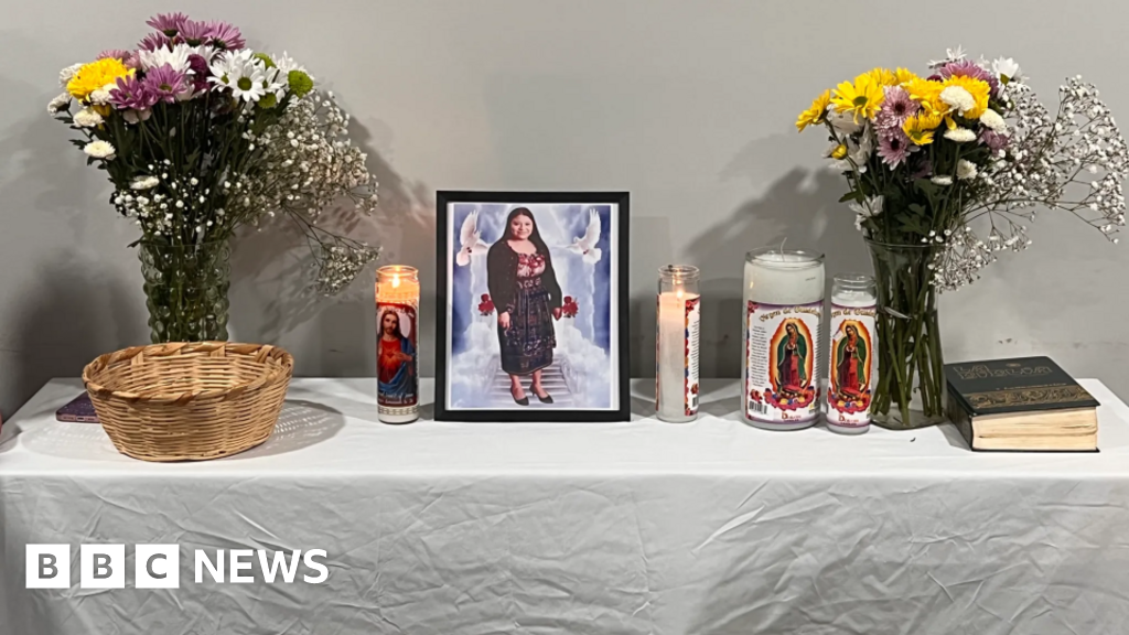 Senseless Tragedy: Cleaning Woman Killed After Arriving at Wrong Indianapolis Home